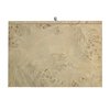 Elk Home Bromo Chest, Small Bleached Burl S0075-9954